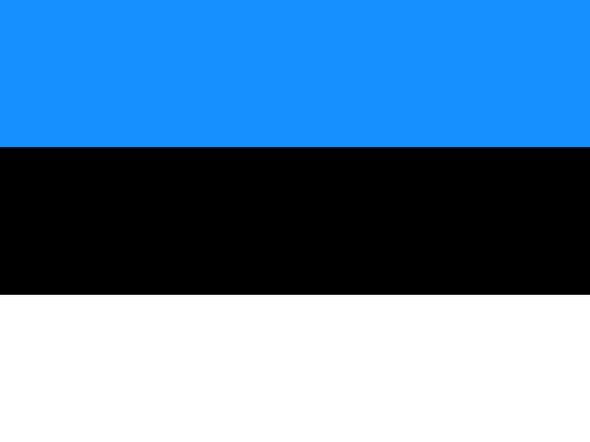 Estonia eSIM — 0.49 GB — 1 Day