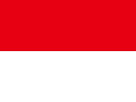 Indonesia eSIM — 2 GB — 15 Days