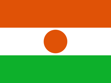 Niger eSIM — 0.49 GB — 1 Day