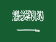 Saudi Arabia eSIM — 0.49 GB — 1 Day