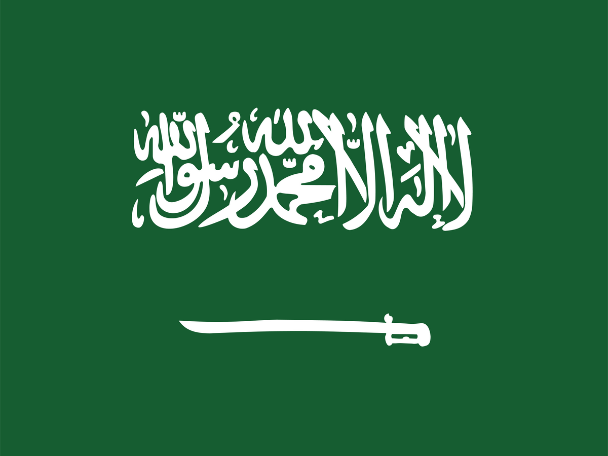 Saudi Arabia eSIM — 0.49 GB — 1 Day