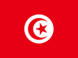 Tunisia eSIM — 0.49 GB — 1 Day