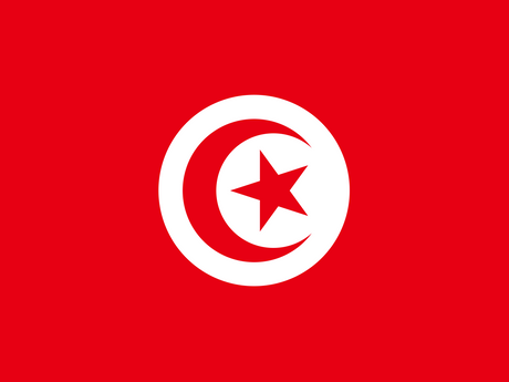 Tunisia eSIM — 0.49 GB — 1 Day