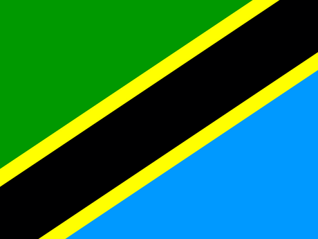 Tanzania eSIM — 1 GB — 7 Days