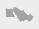 Middle East eSIM — 0.49 GB — 1 Day