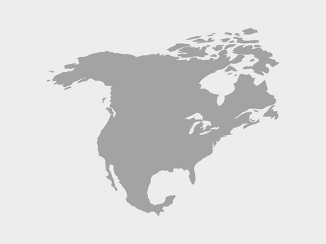 North America eSIM — 0.49 GB — 1 Day
